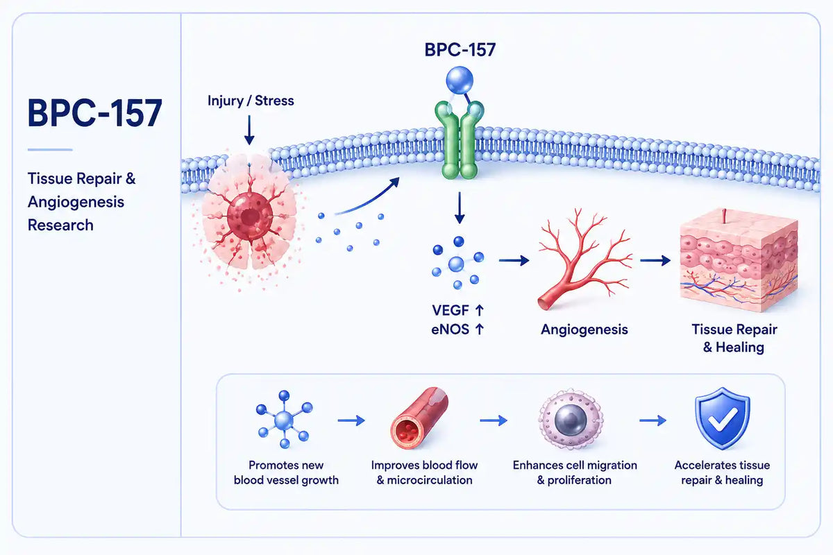 bpc 157 mechanism BPC-157 in India Polybion A Inj 2 hospital pain control Size:BPC-157 10mg
