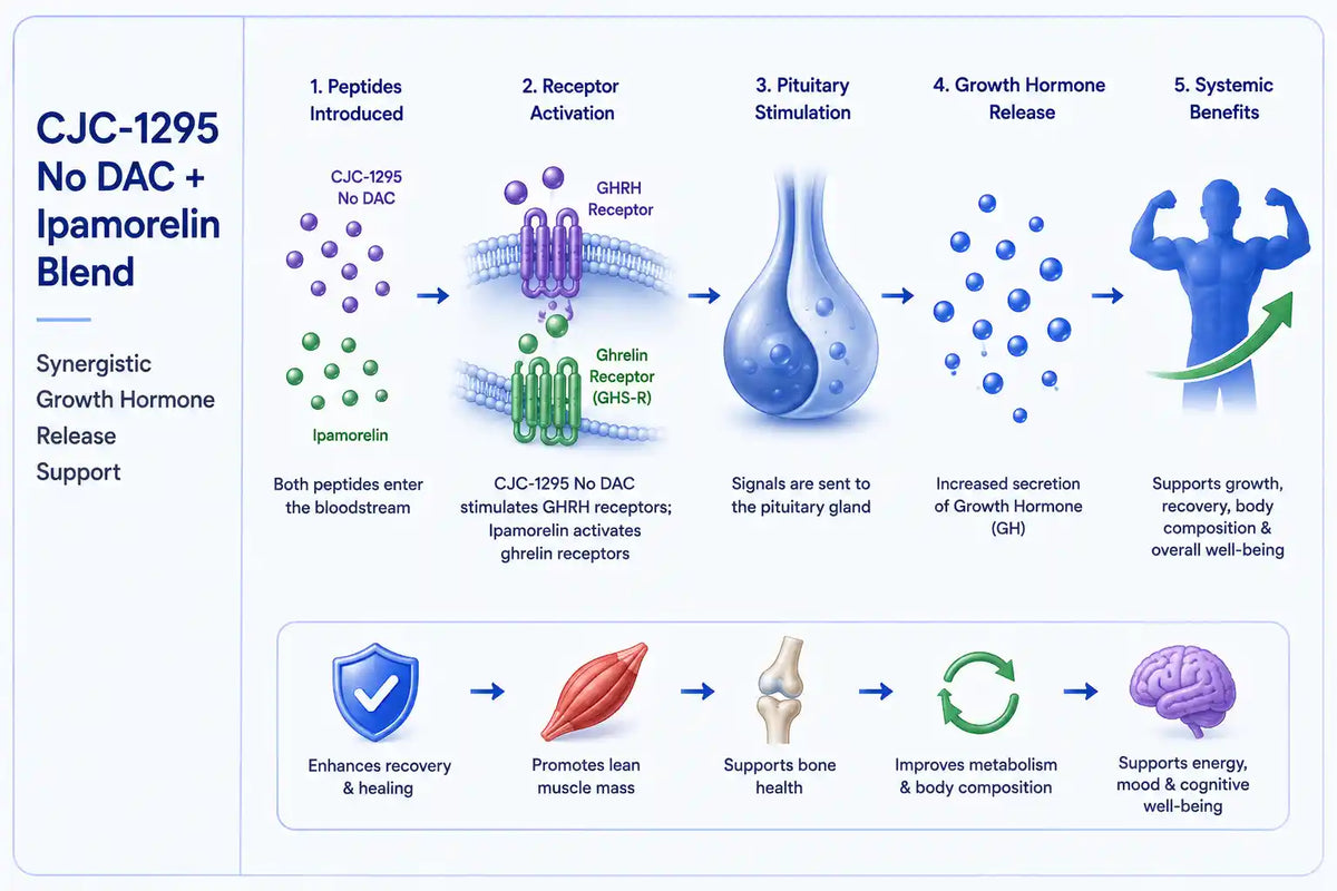 CJC-1295 No DAC + Ipamorelin